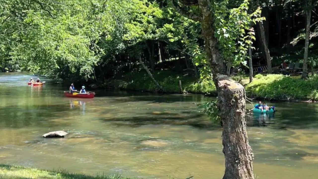 Photo of Others in Ellijay