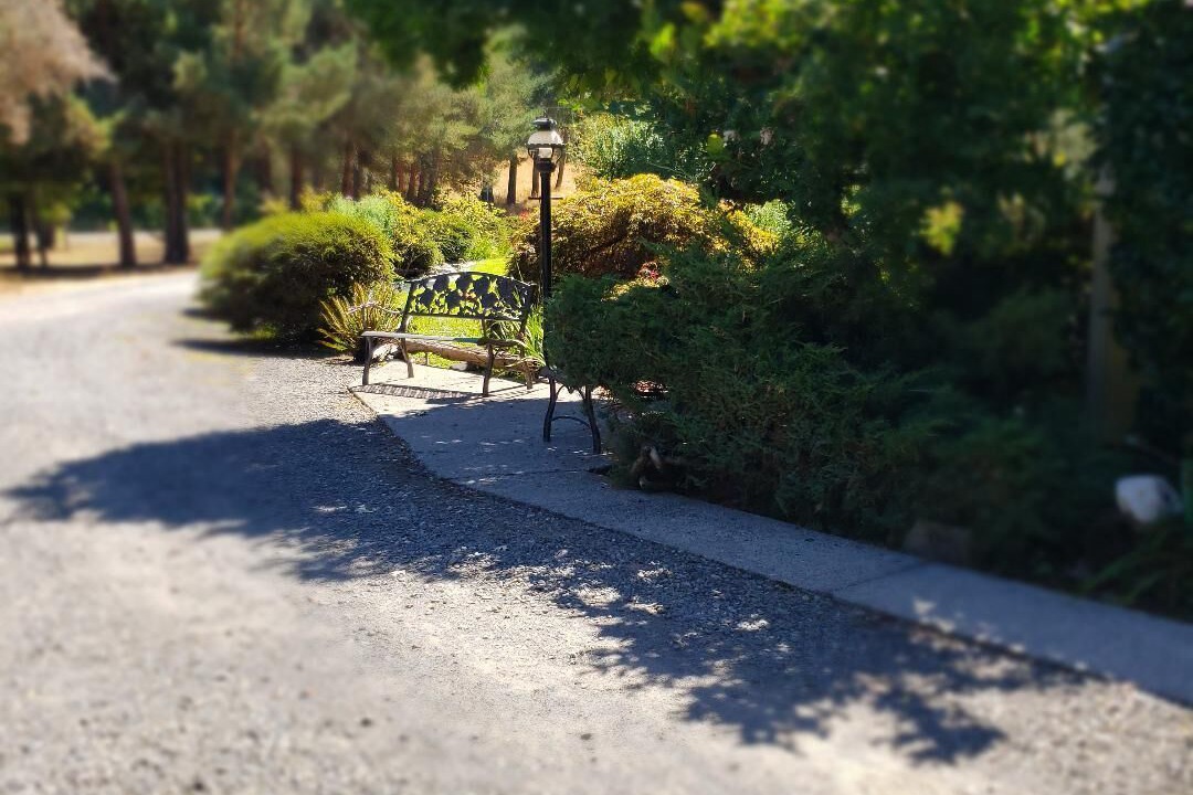 Photo of Outdoor in Riddle