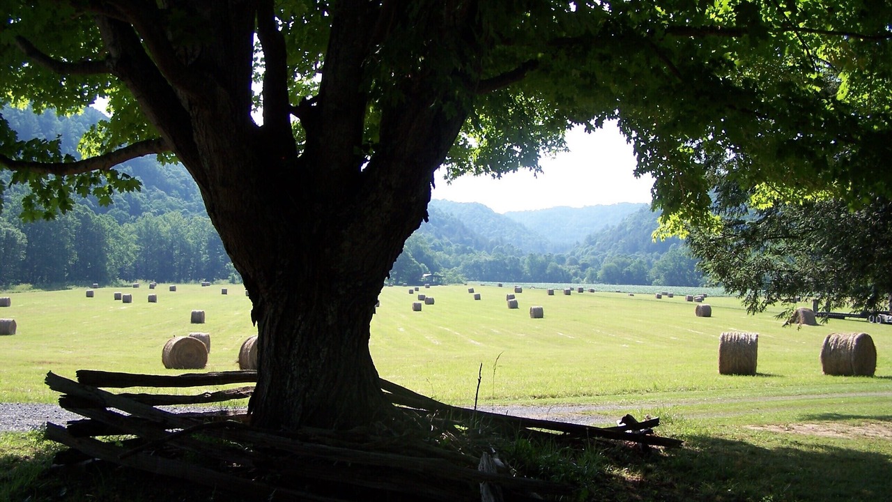 Photo of Others in Kegley