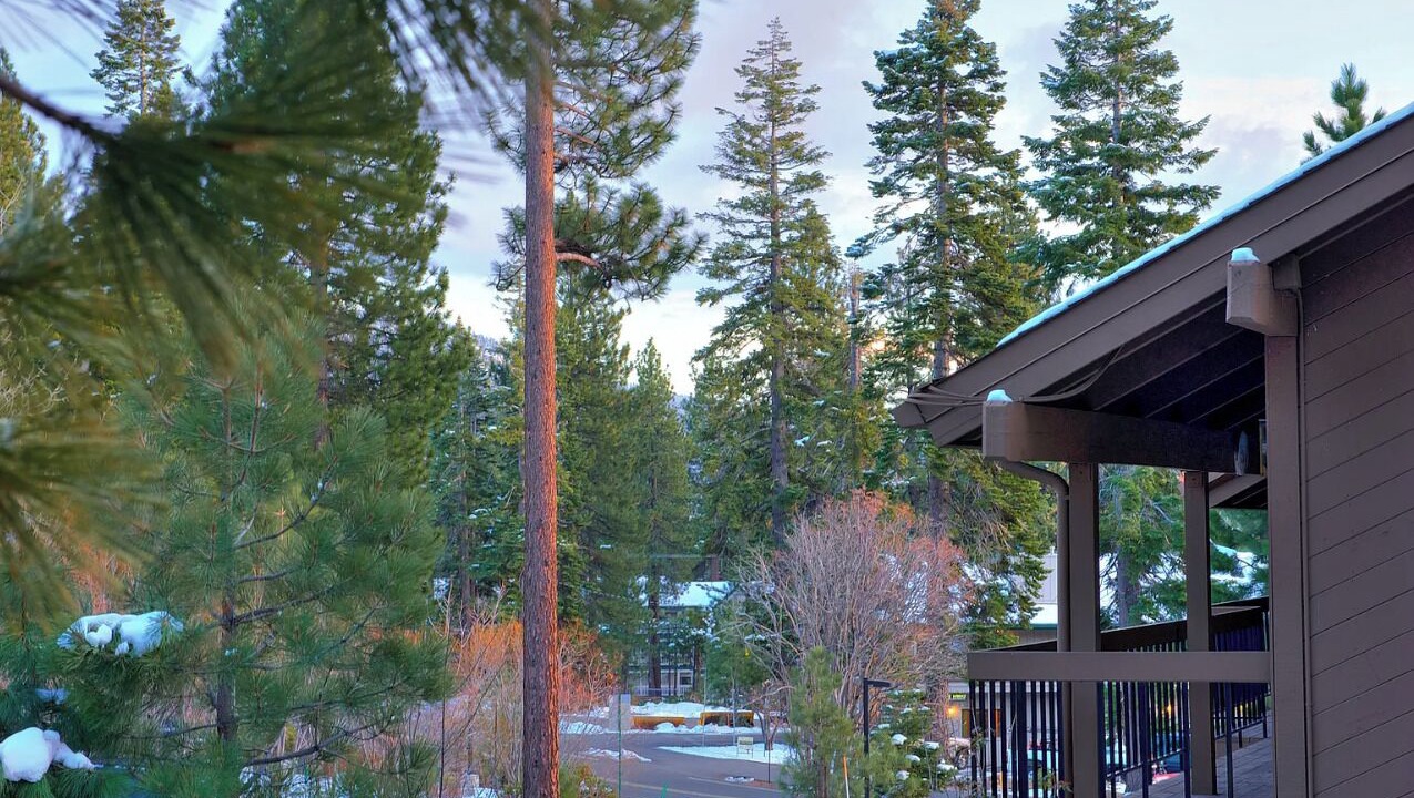Photo of Others in Incline Village