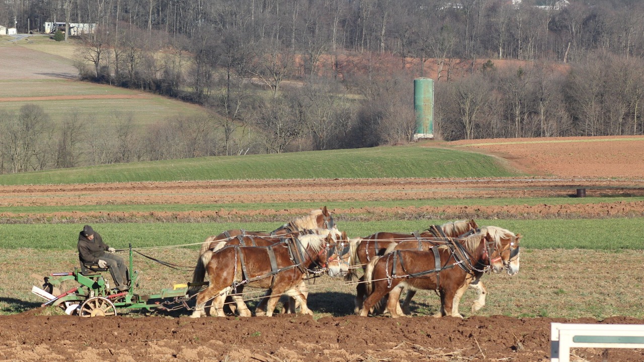 Photo of Outdoor in Martindale