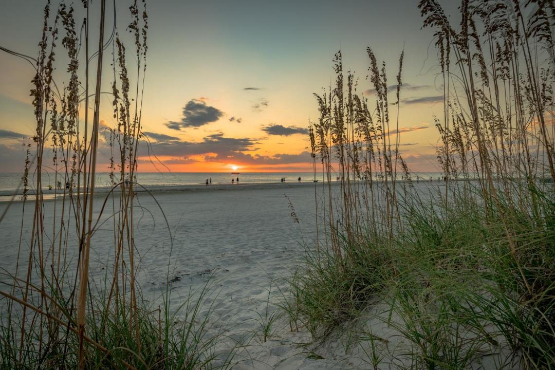 Photo of Others in South Ponte Vedra Beach