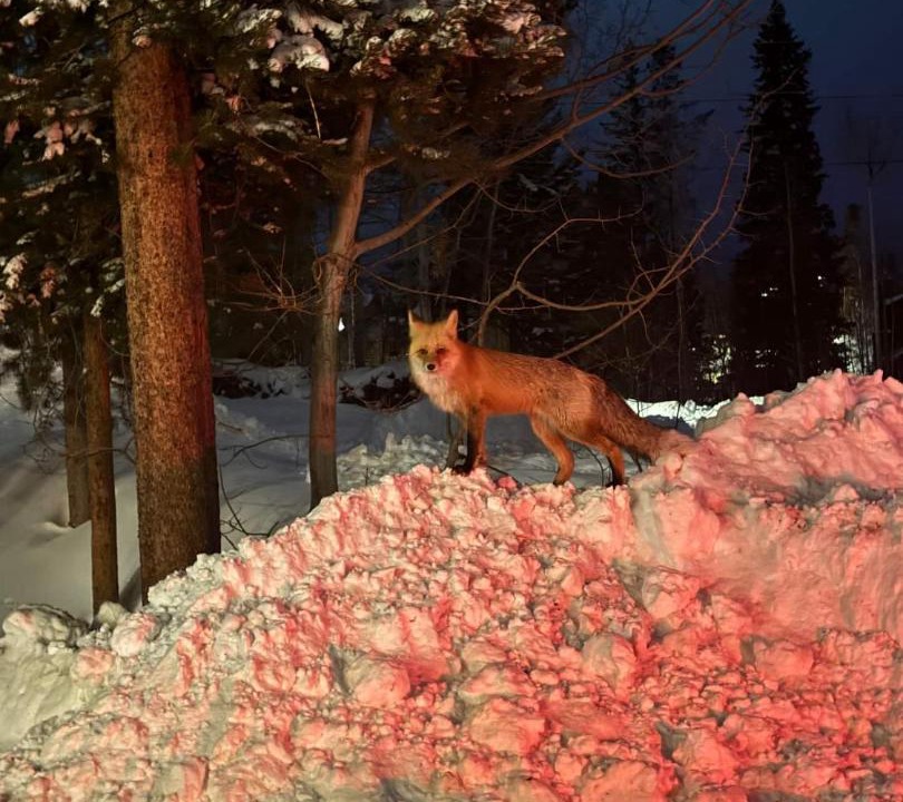 Photo of Others in Winter Park