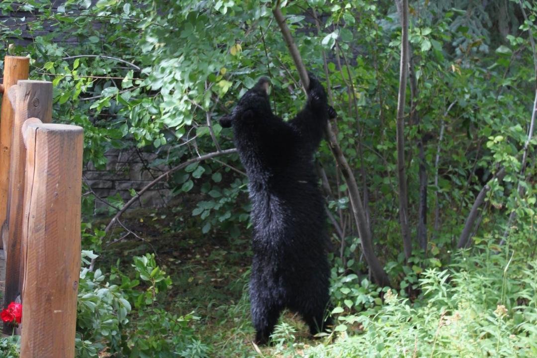 Photo of Others in Granite Ridge