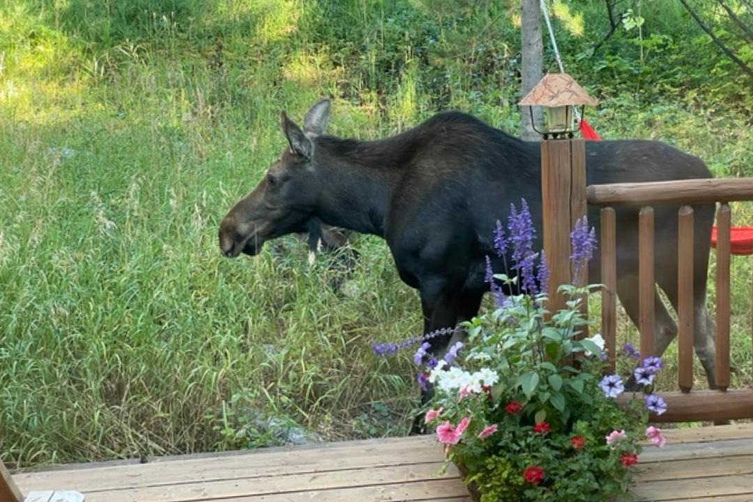 Photo of Others in Granite Ridge