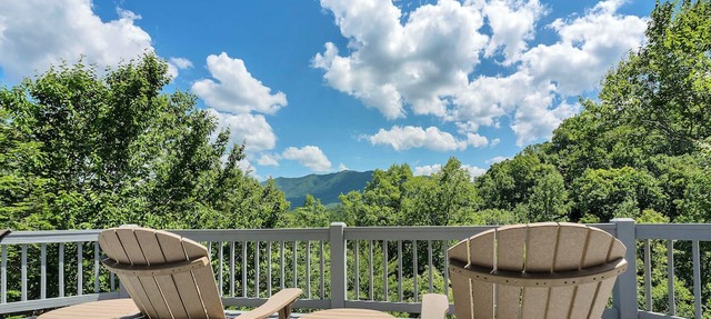Awesome Mtn Views ❂Fireplaces ❂Easy Access ❂Large Family cabin ❂Screened Porch in Townsend